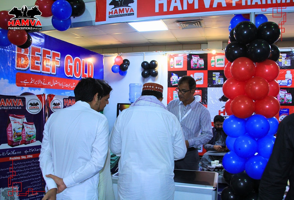 Hamva Event
