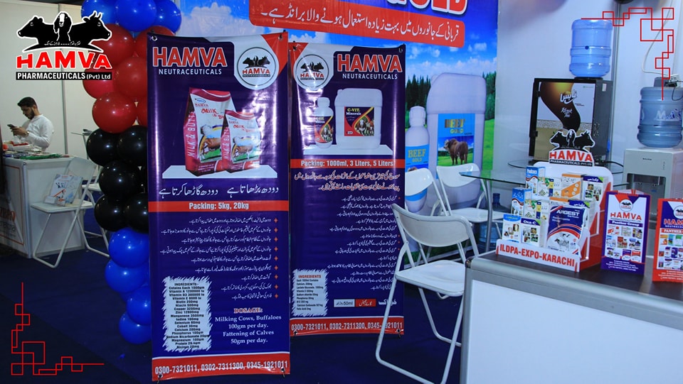 Hamva Event