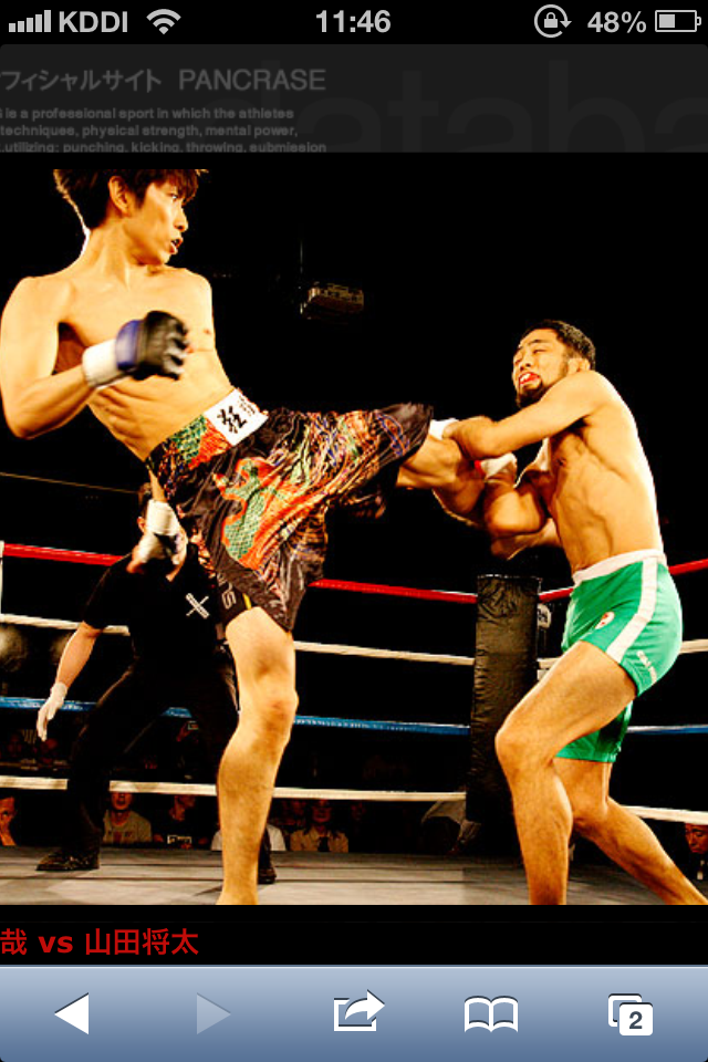 パンクラス試合