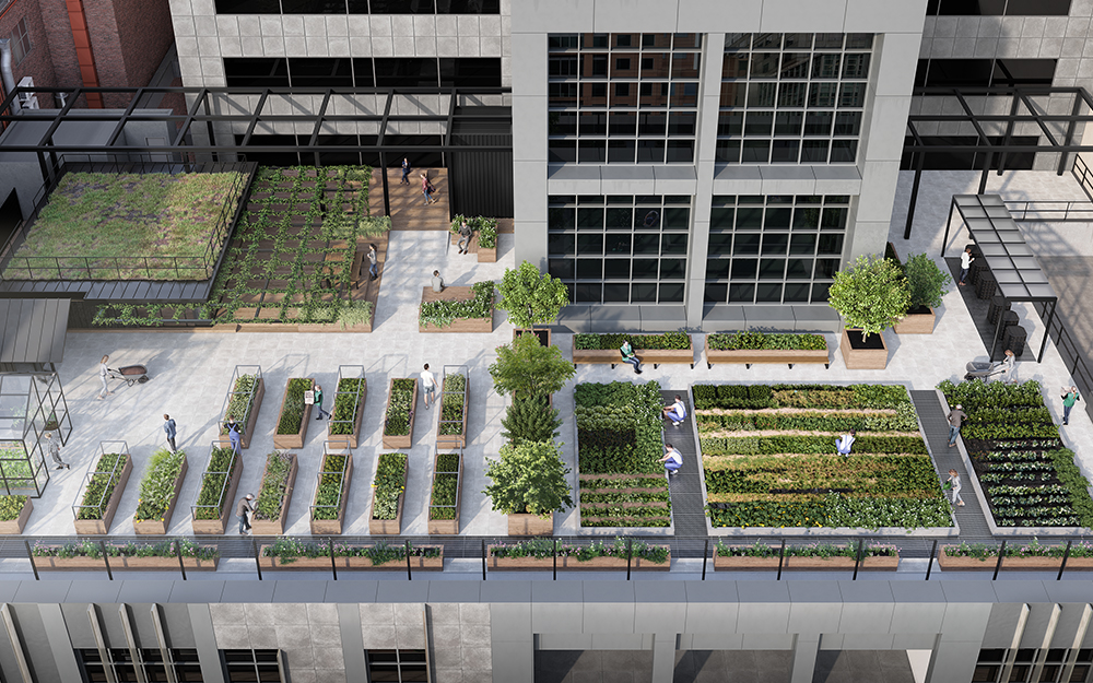 101 COLLINS ST — image 3