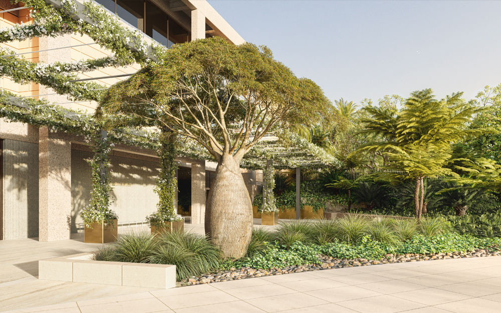 NSW ART GALLERY — image 4