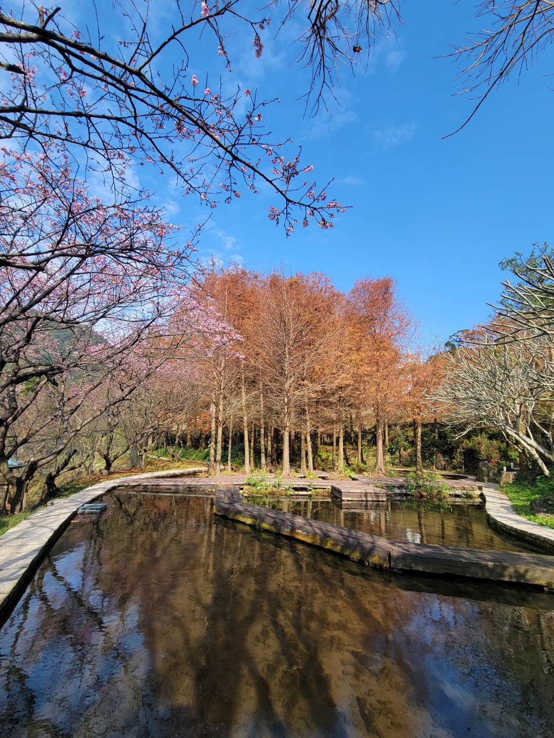 真愛桃花源庭園餐廳實景 - 陽明山7000坪浪漫場地