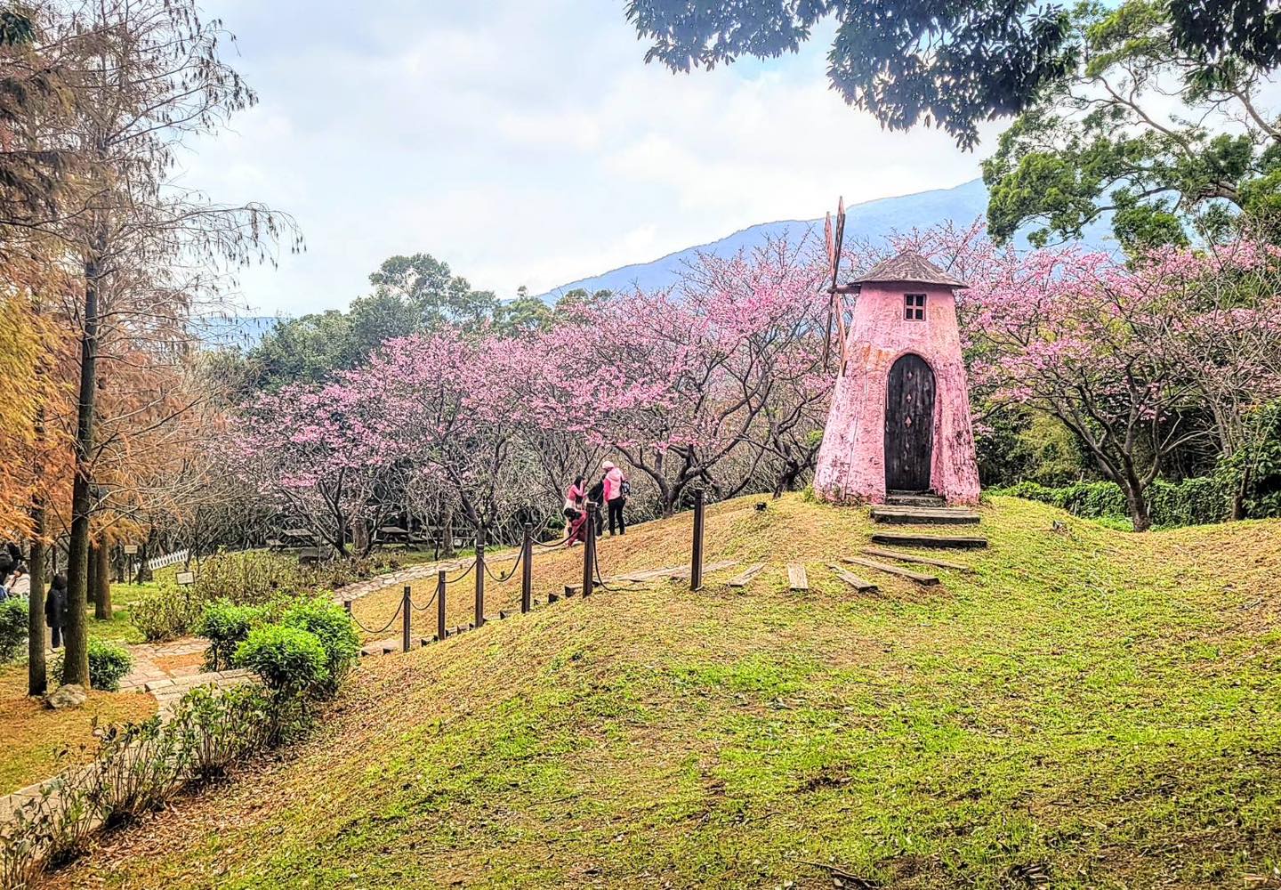 專業攝影基地 台北士林寵物空間 專業攝影基地 - 真愛桃花源婚宴服務
