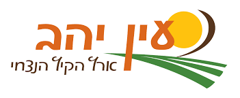 שותף 9