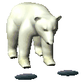Animated polar bear GIF on a Y2K retro web design contact page
