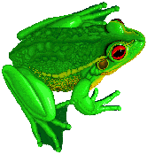 Decorative animated GIF on a Y2K custom website developer about page sidebar