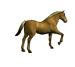 Animated horse GIF decoration on a custom website developer personal site