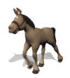 Animated donkey GIF on a retro web design developer about page