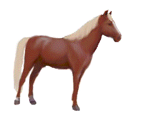 Animated running horse GIF on a Y2K retro web design portfolio