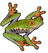 Cute frog GIF decoration on a Geocities style custom website portfolio