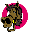 Animated horse GIF on a Y2K retro web design developer about me page
