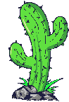 Decorative cactus GIF on a Y2K retro web design portfolio about page