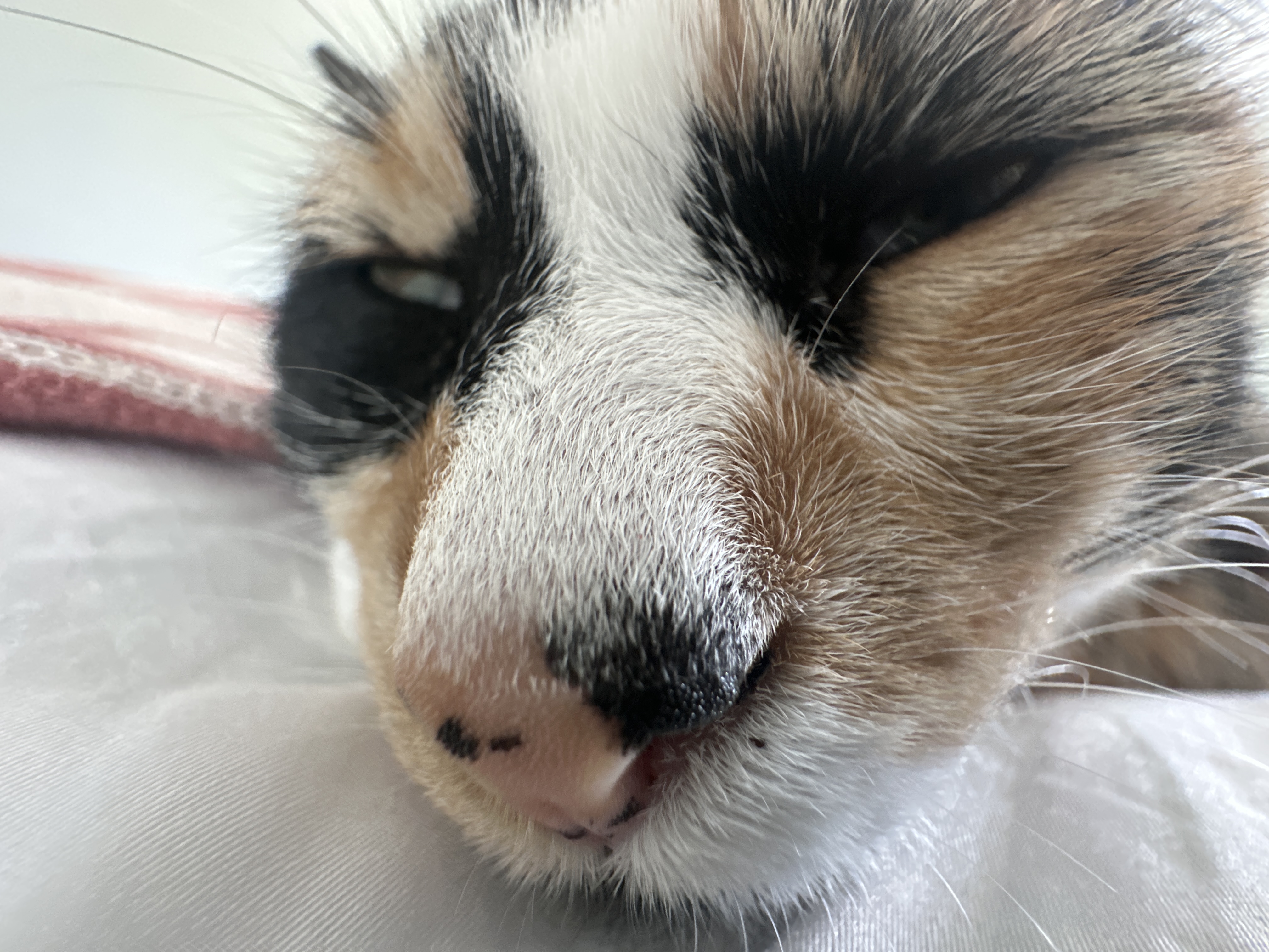 Sunny Afternoon ☀️