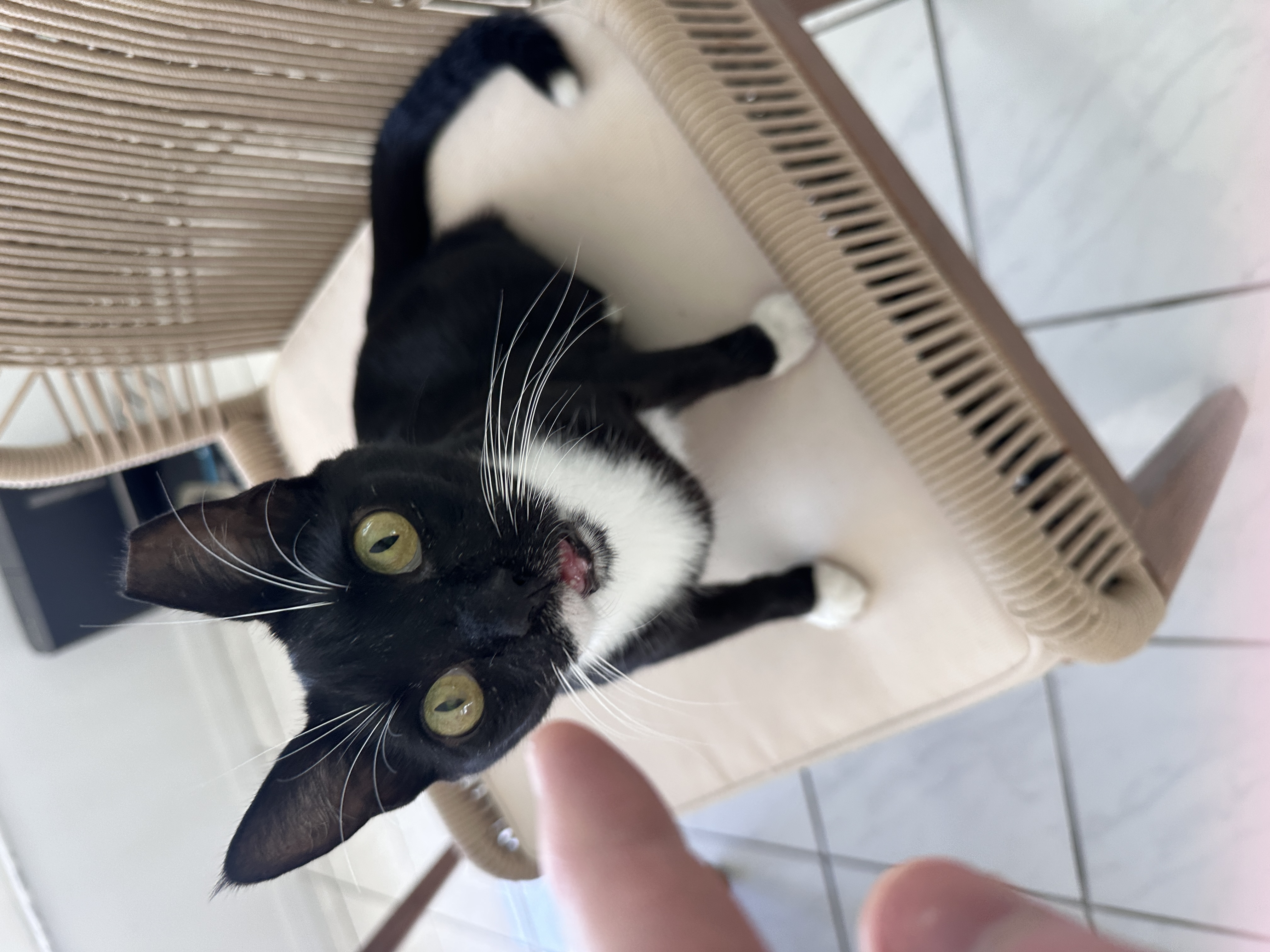 Boca Grande Days ☀️