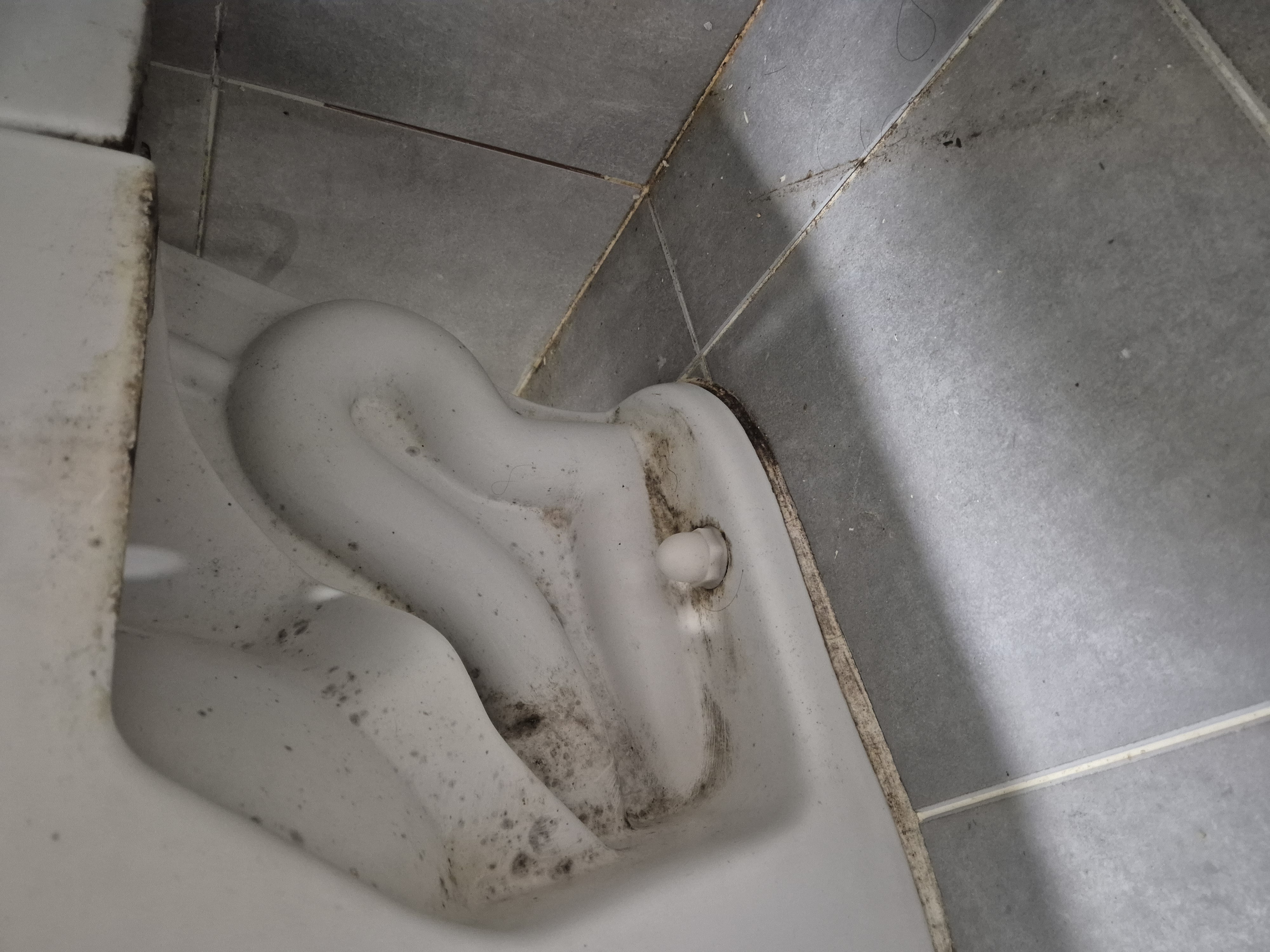 변기 곰팡이 및 오염제거 청소 전