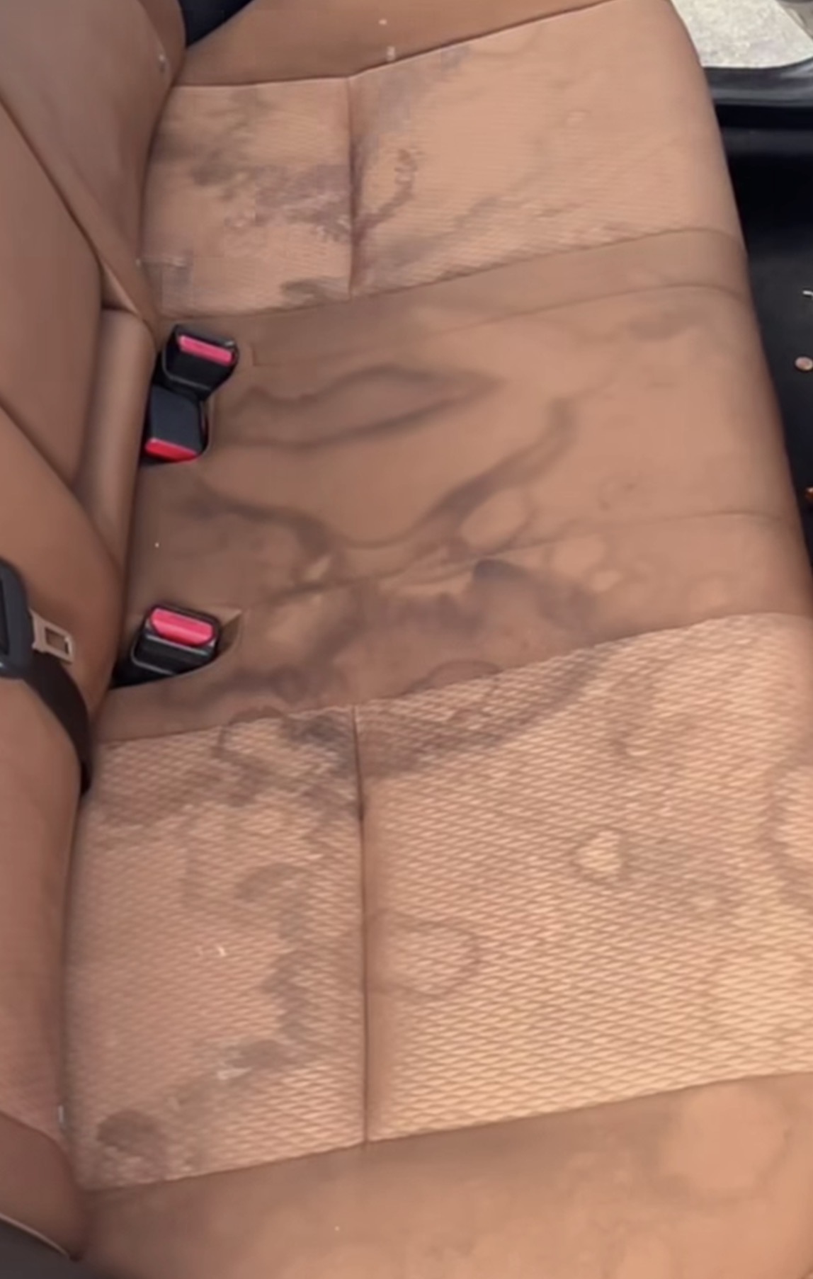 Before - Seat Cleaning