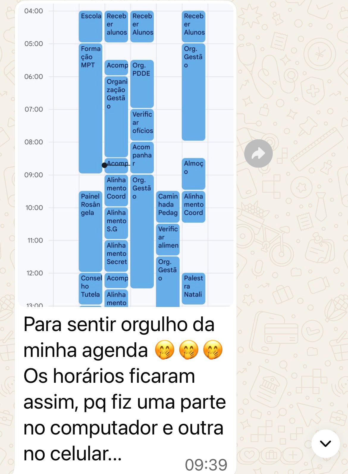 Exemplo de rotina organizada - Roziane, Dona e Diretora Escola Tumtum MA