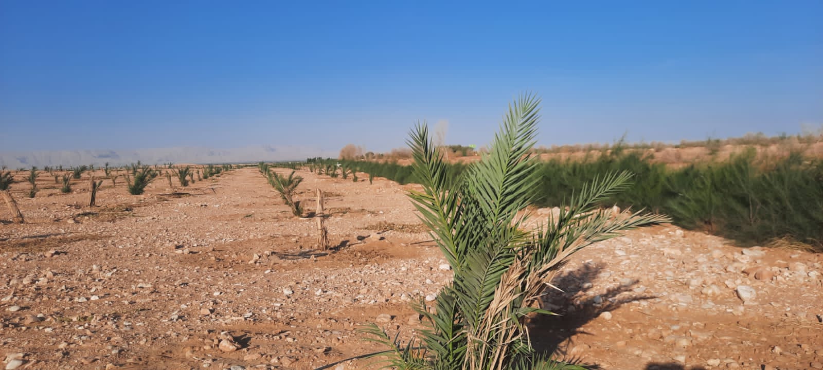 Community in Esna, Upper Egypt