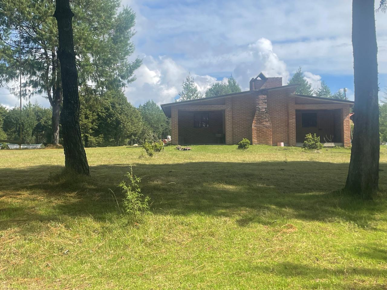 Cabaña de madera rústica rodeada de bosque Hidalgo