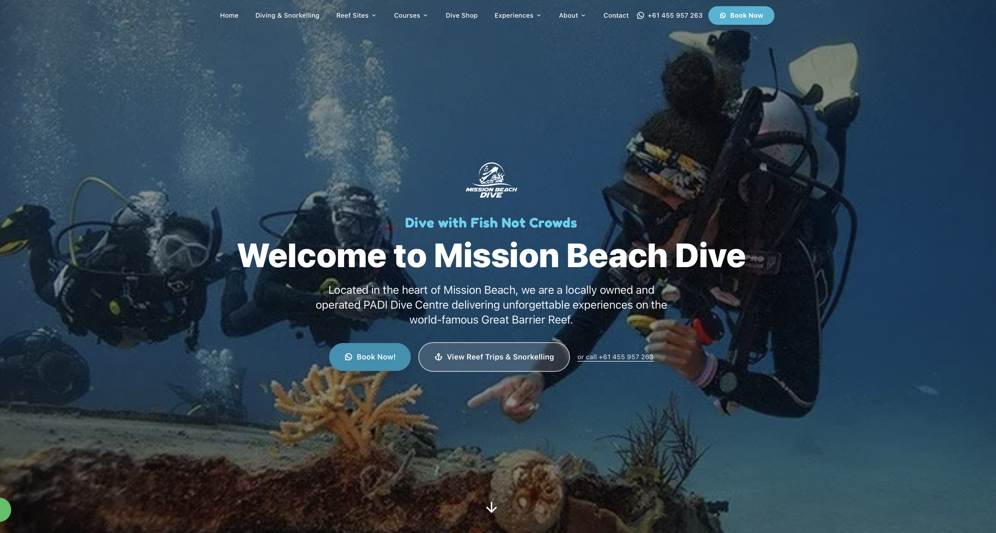Mission Beach Dive website