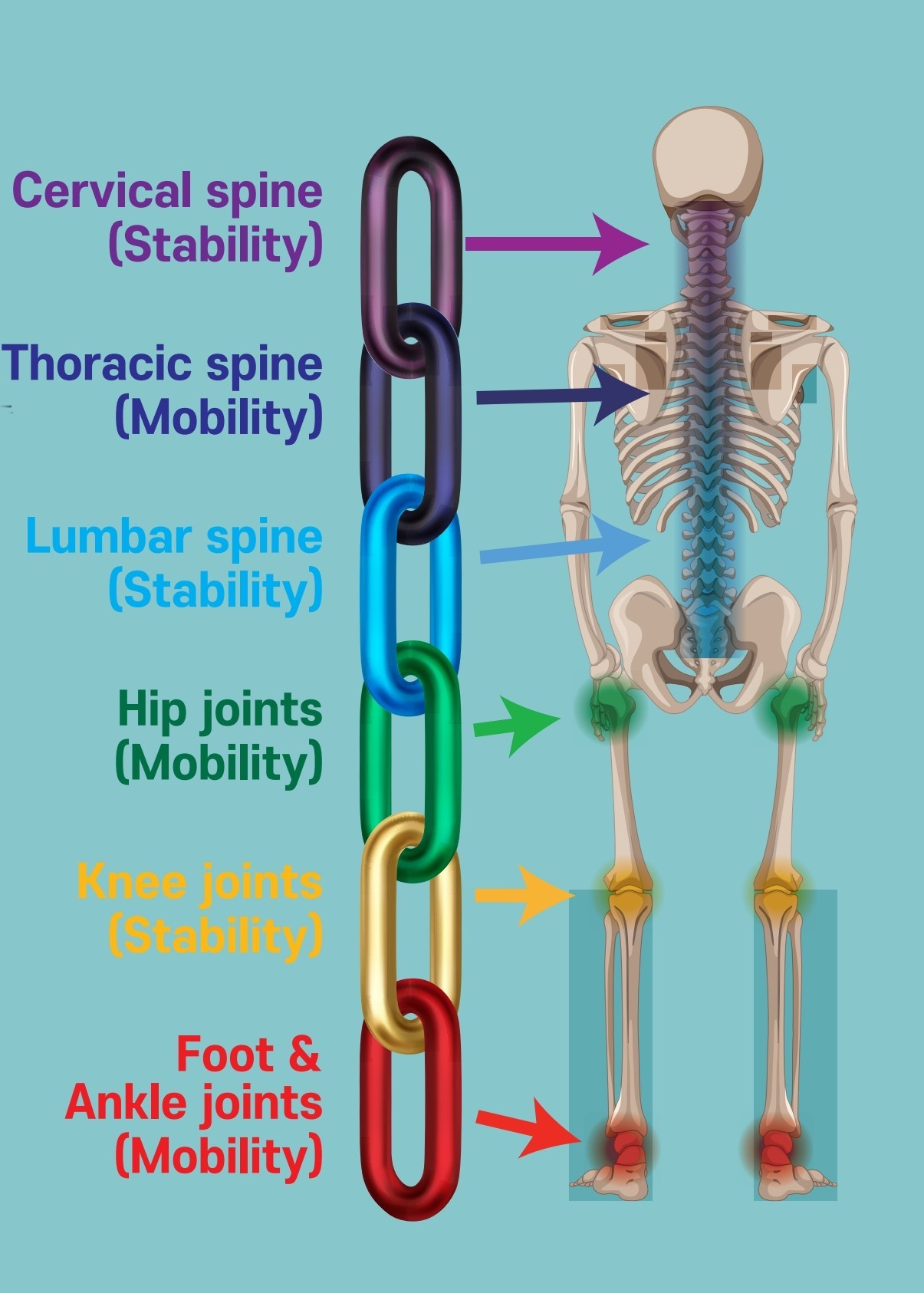 Kinetic Chain