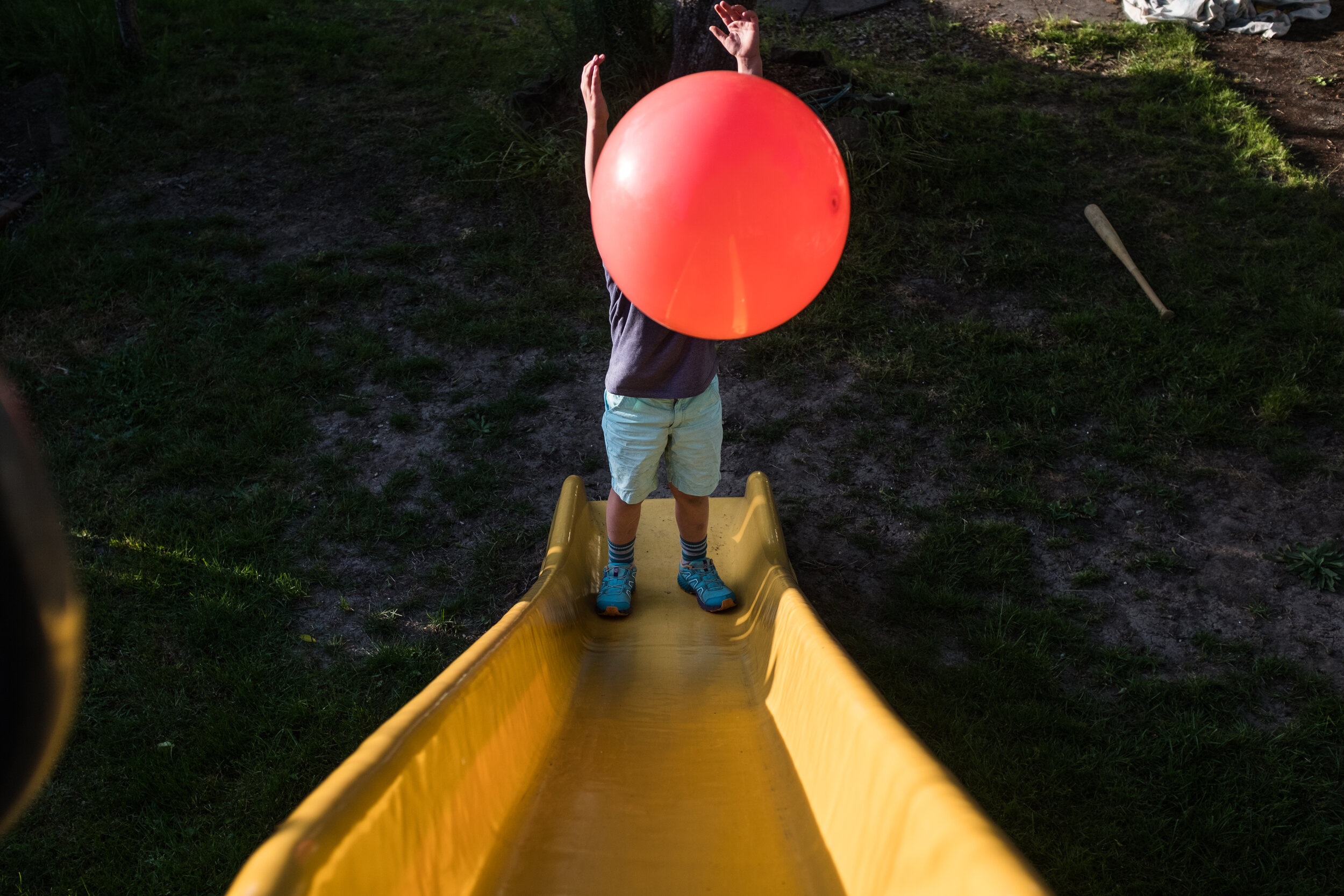 Color Study — Uhler J