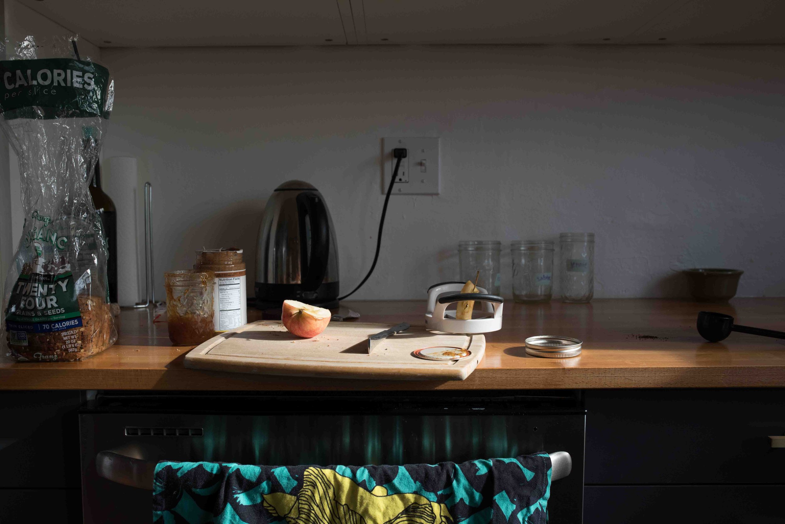 Seattle Fine Art — Color Study