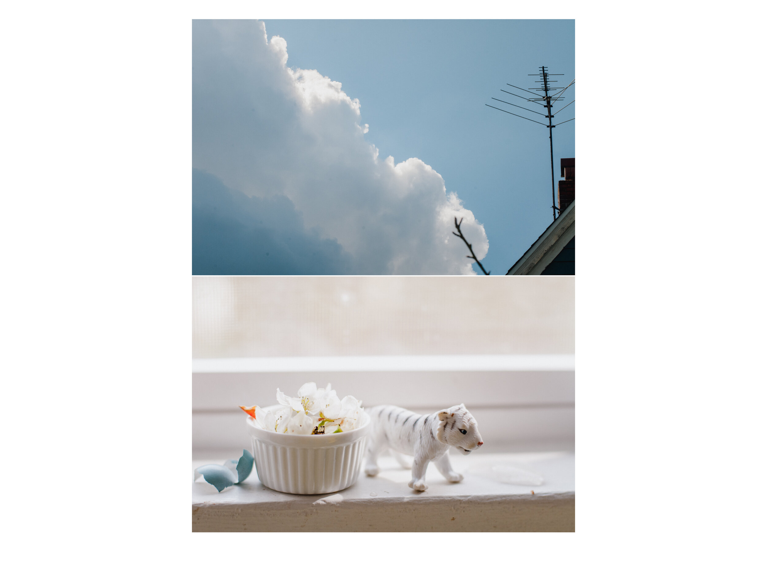 Clouds — Atmospheric Study