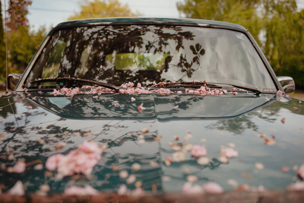 Portrait — JU1 Study