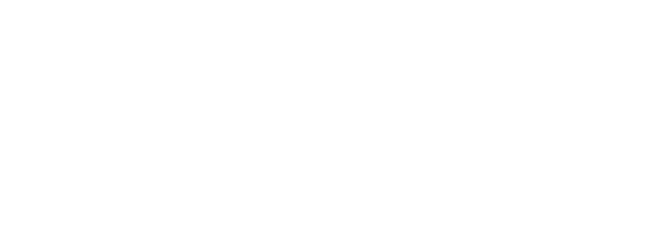 Departamento de Ingeniería Industrial USACH