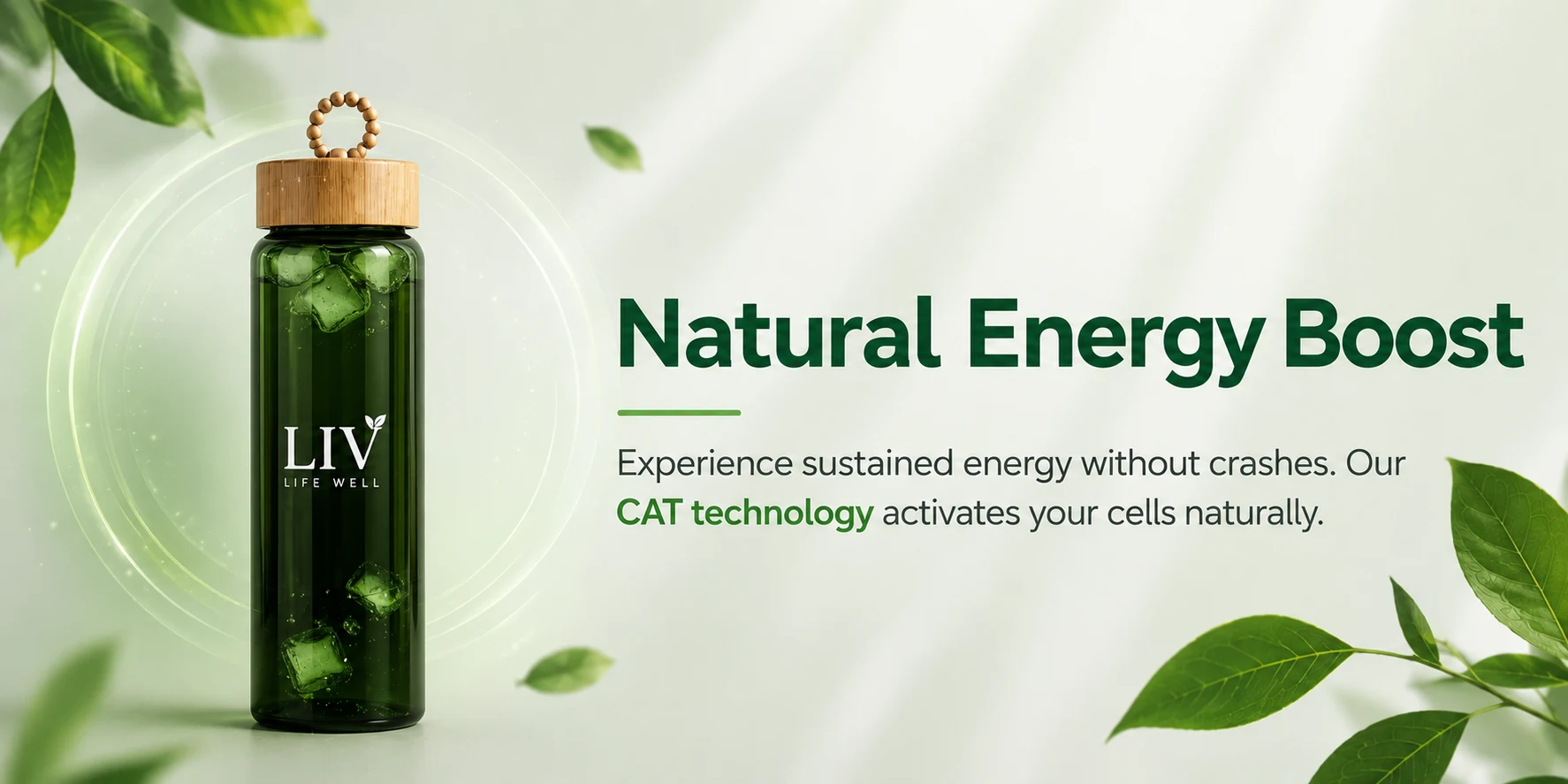 Liv International Natural Energy Boost