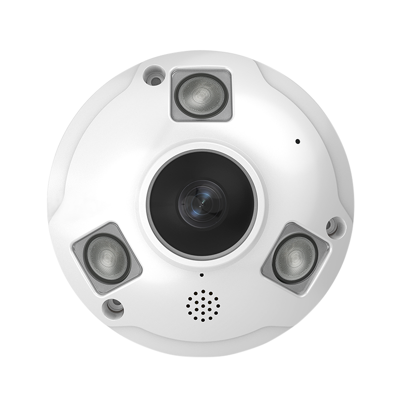 Fish eye