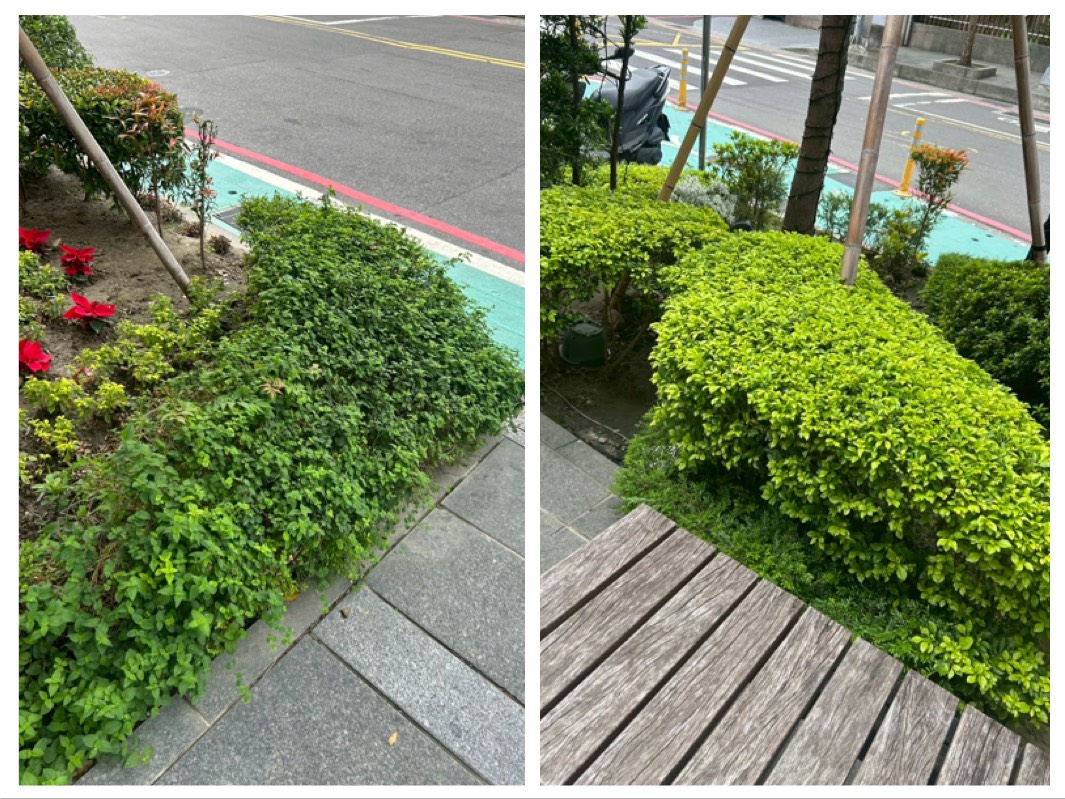 桃園市・實際施工案例