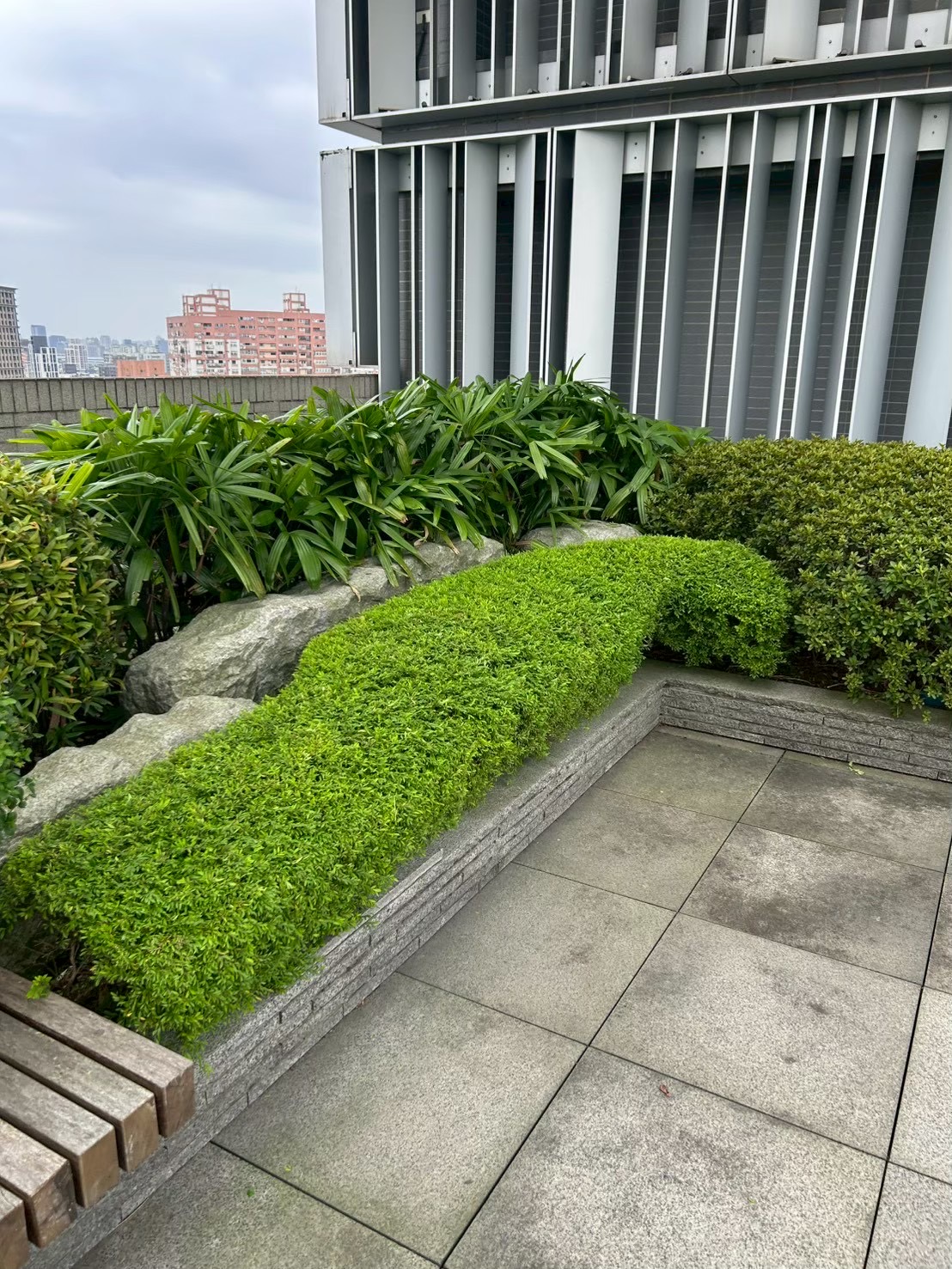 樹匠園藝庭園造景施工實況,工人鋪設石材步道與種植景觀植栽,台北市住宅庭園改造工程