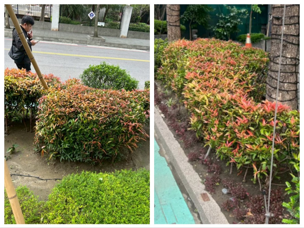 新北市・實際施工案例