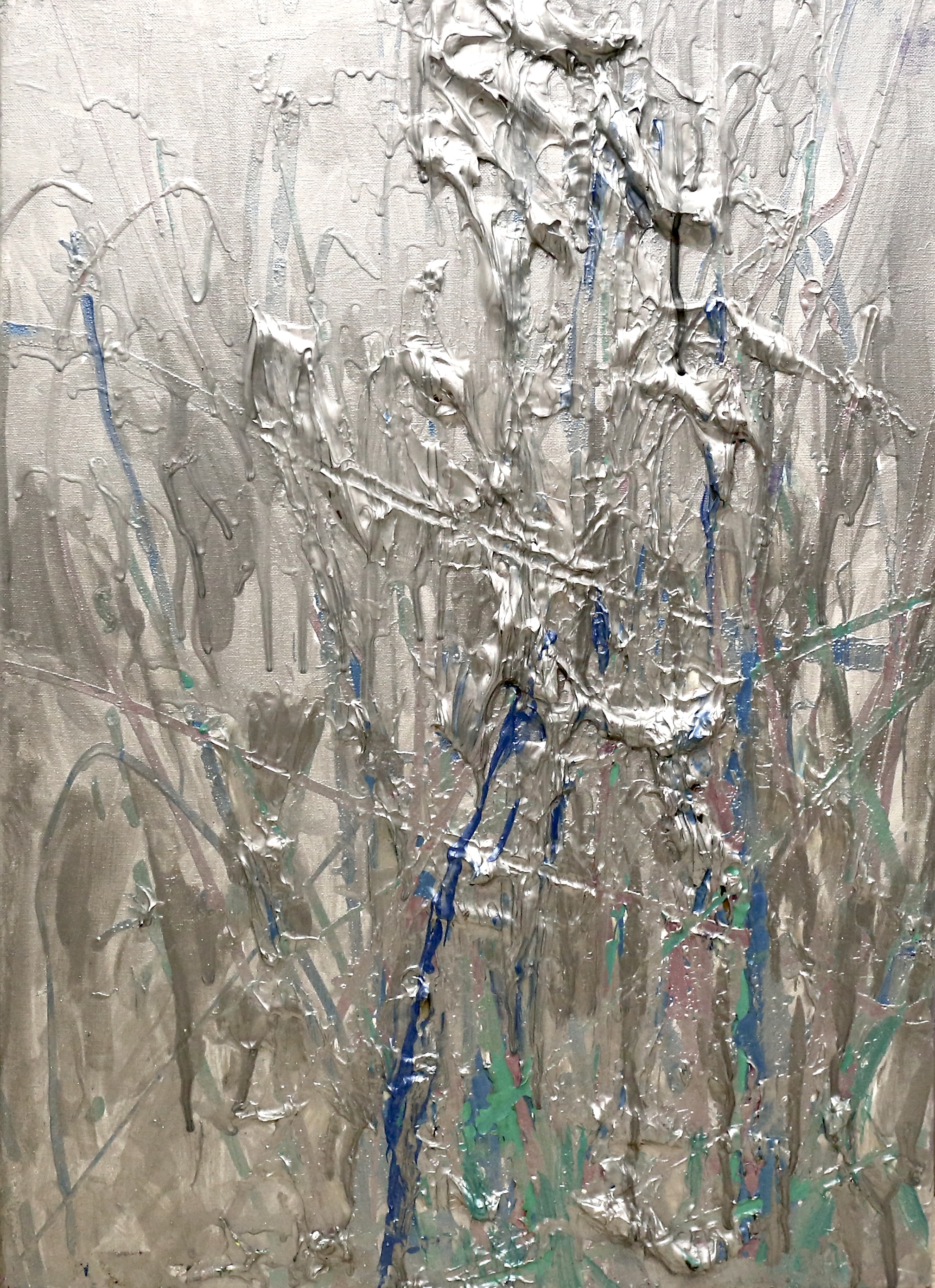 Silver Reed Serenade (50cm_70cm)