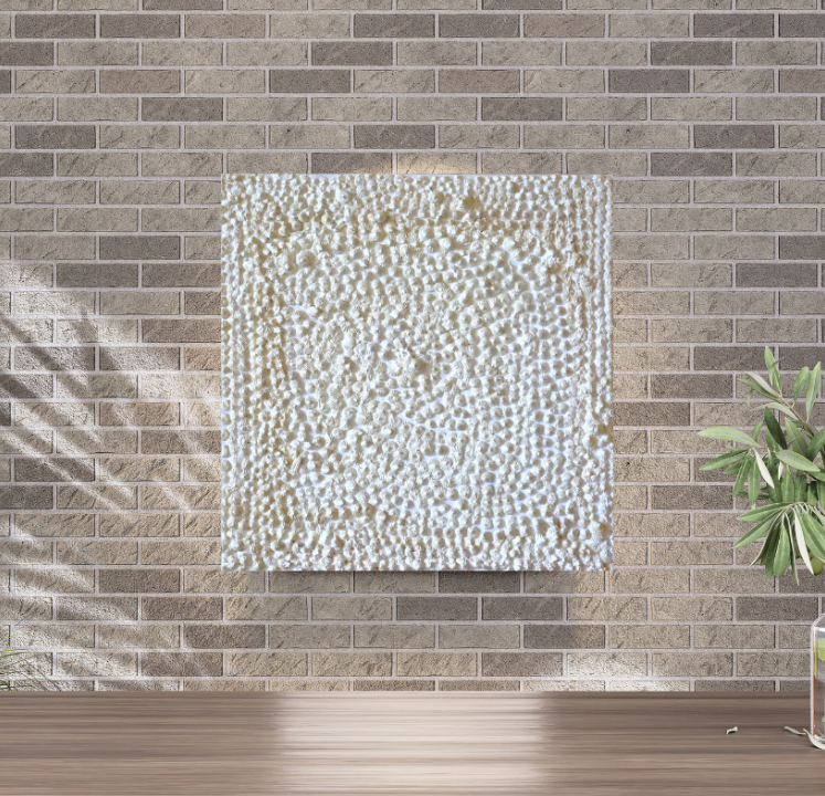 Myriad White Starbursts (100cm_100cm) — In Situ