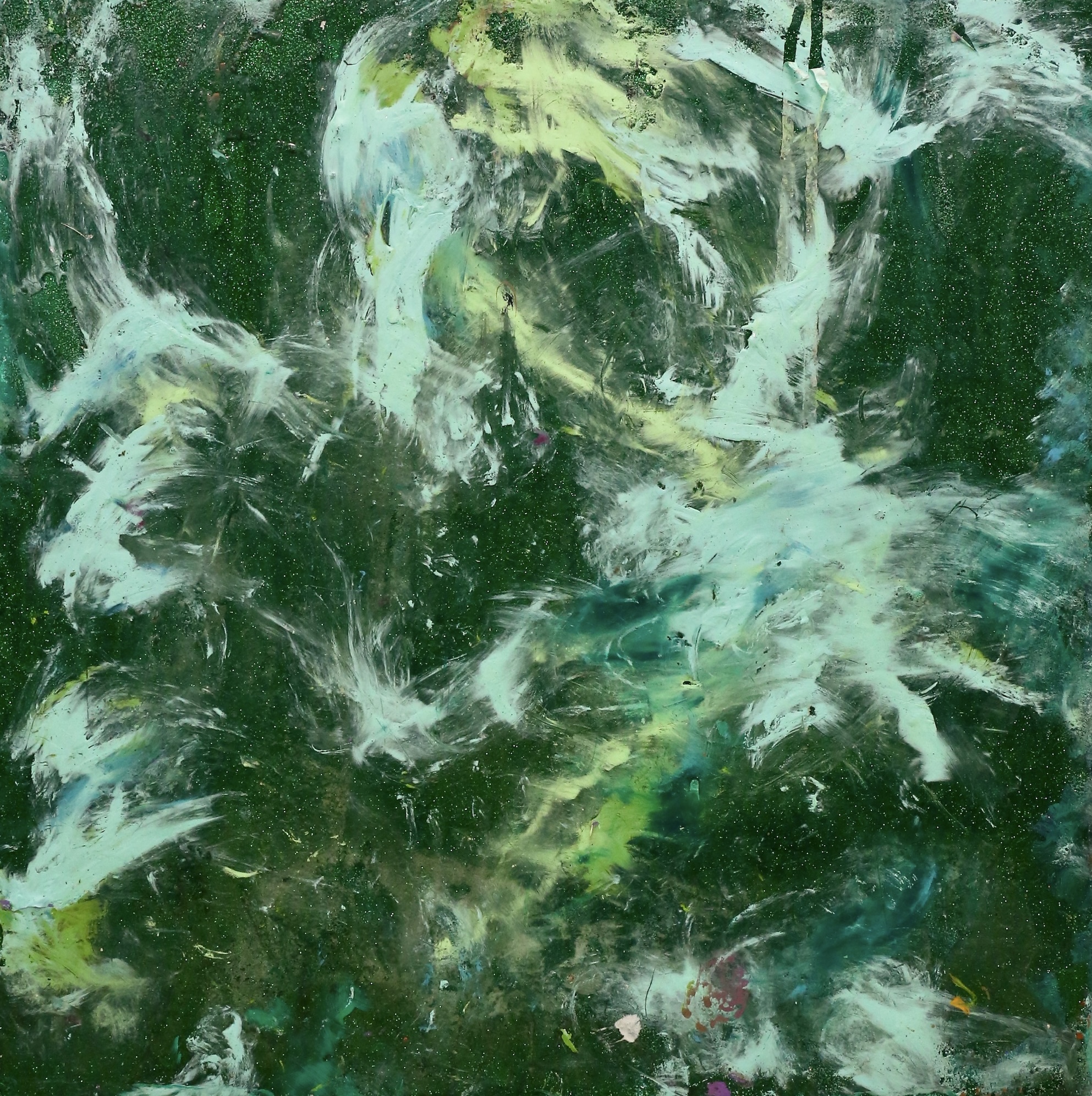 Forest Mists (50cm_50cm)
