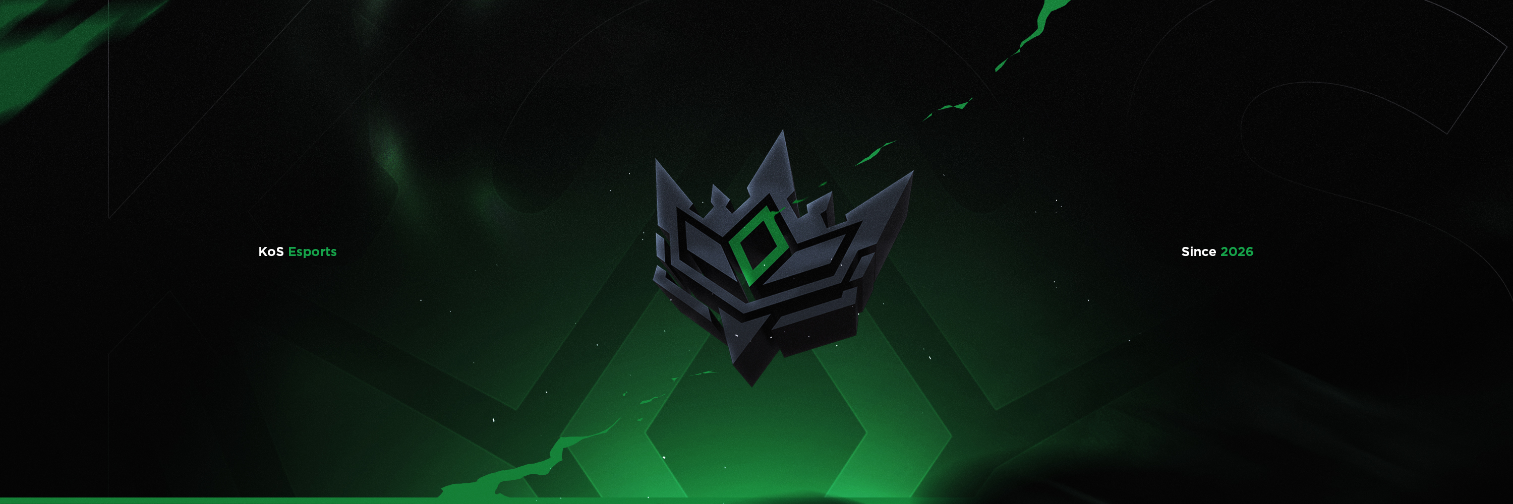 Knights of Shadows Banner