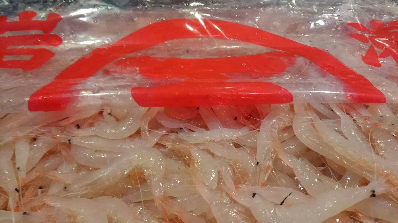 海ん中 10