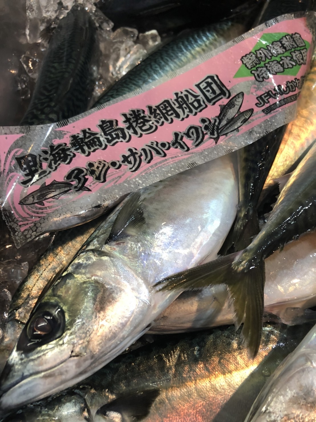 海ん中 3