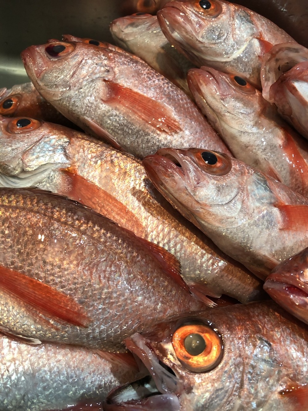 海ん中 4
