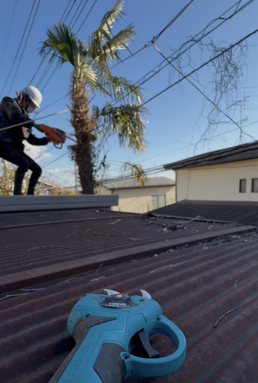 庭木の伐採・剪定作業