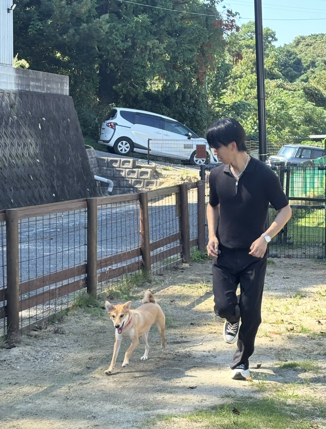 大切なペットのドッグランお散歩代行