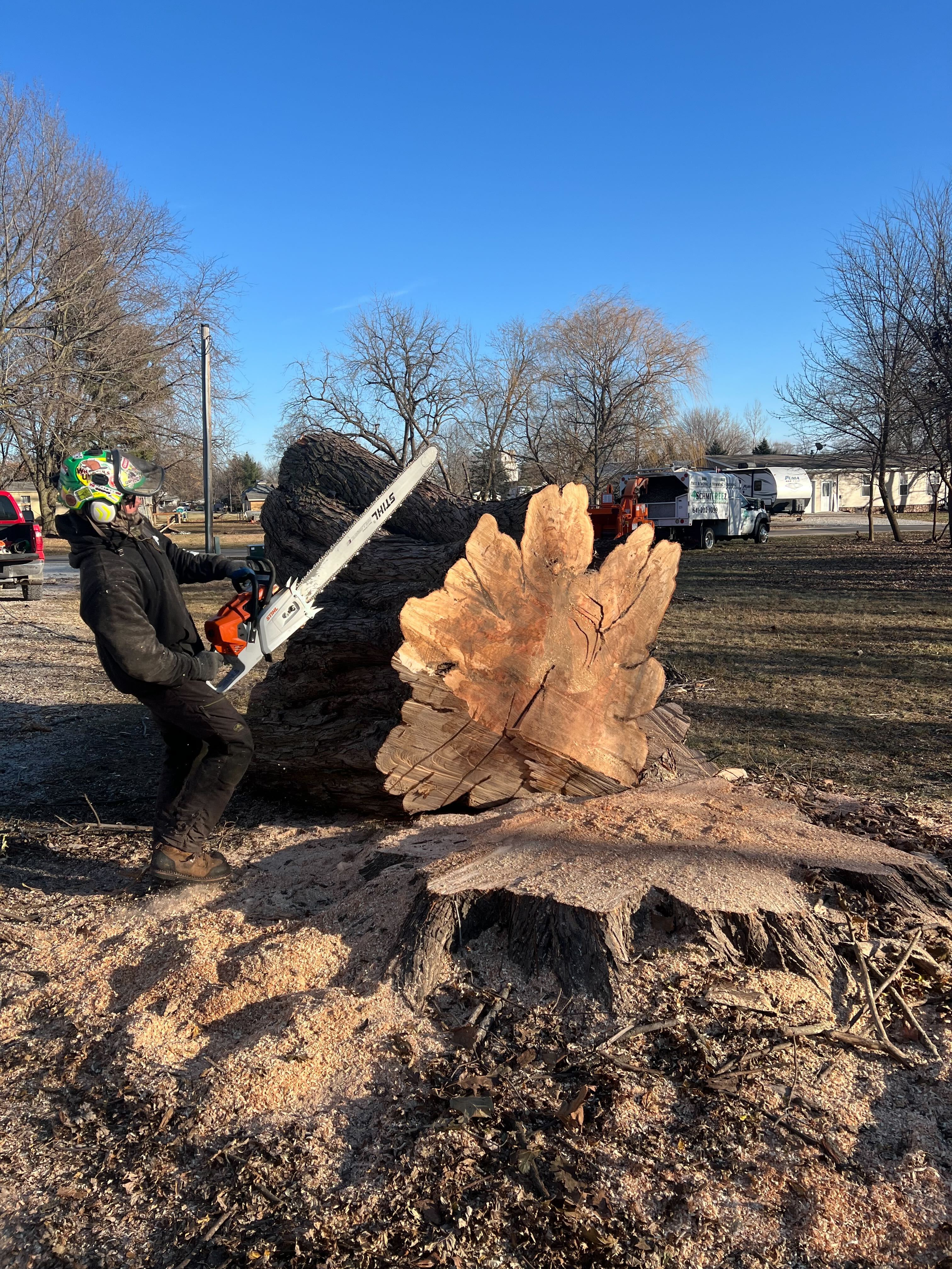 Tree Services