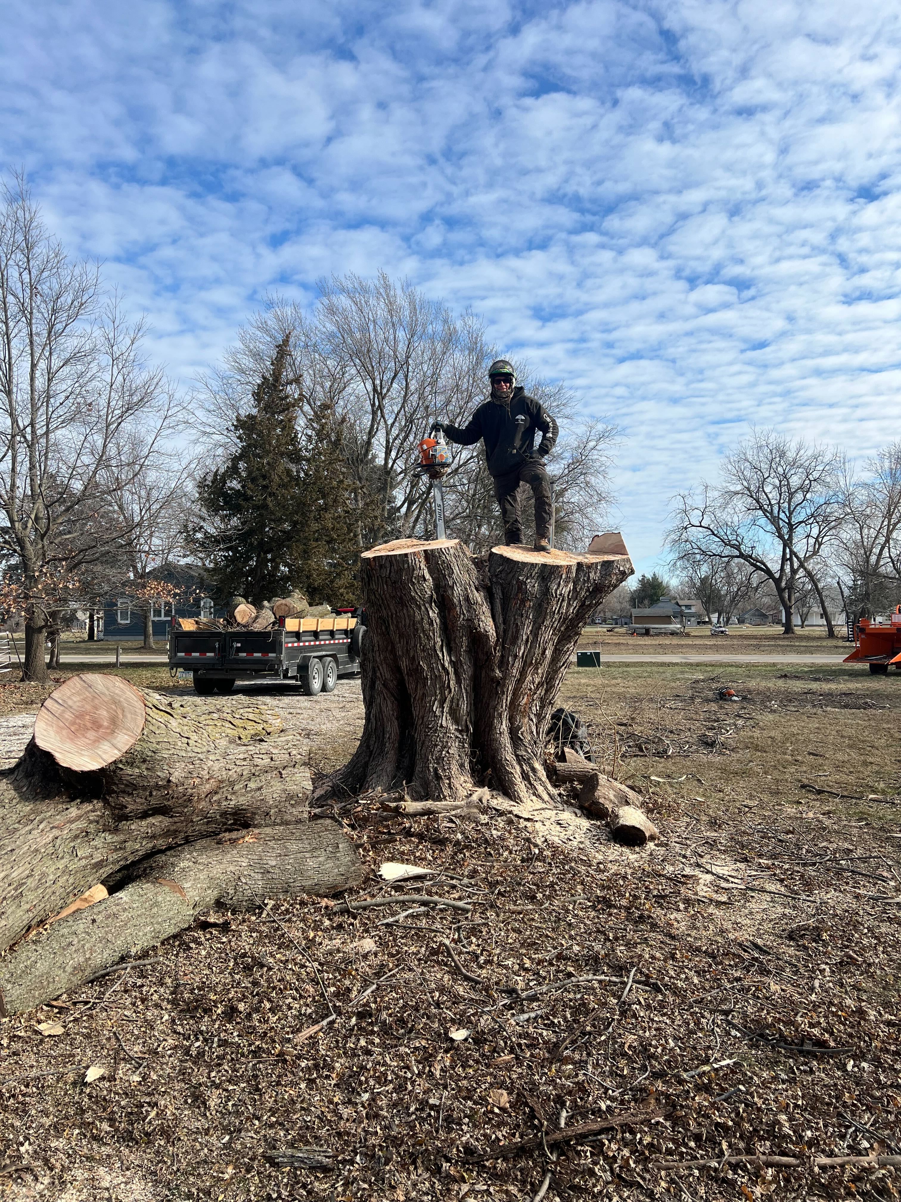 Des Moines Landscaping LLC - Professional Tree Services Professional tree service in Des Moines Iowa