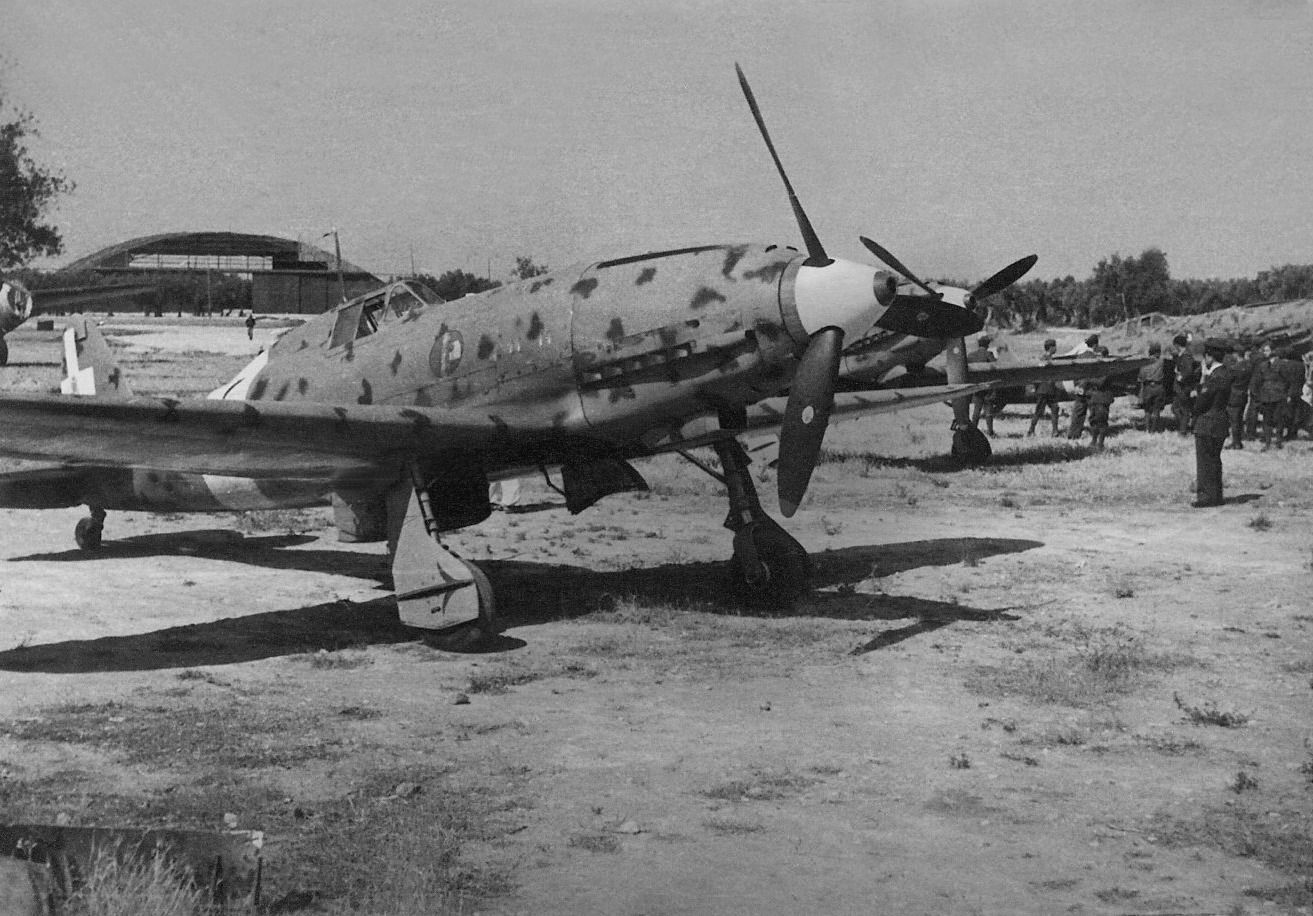 Fotografia storica WWII – vita quotidiana sul campo, archivio inedito 1000 Scatti di Guerra di Nicola Virgilio