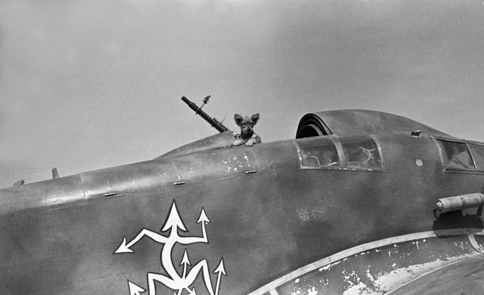 Archivio fotografico guerra 1940-1943 Sicilia – scatto inedito dal libro 1000 Scatti di Guerra di Nicola Virgilio