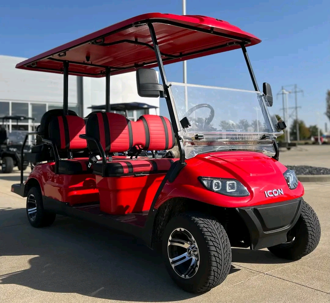 Custom 2-Seat Sport Golf Cart