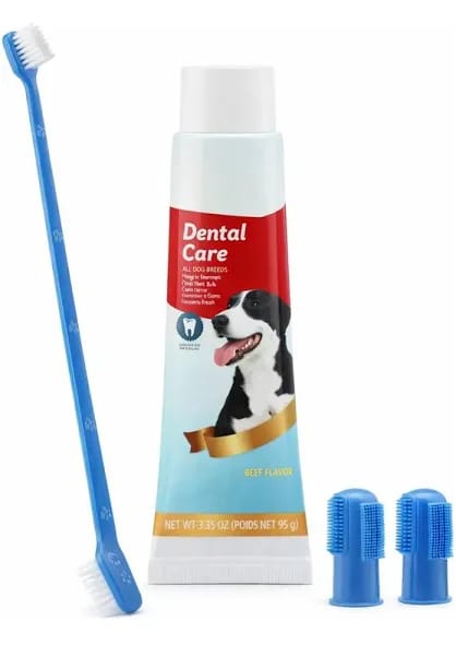 Set Dental